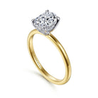 14k white-yellow gold hidden halo oval diamond engagement ring